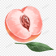 WWW,535se·COM网站APPAPP应用