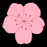色猫直播APP应用